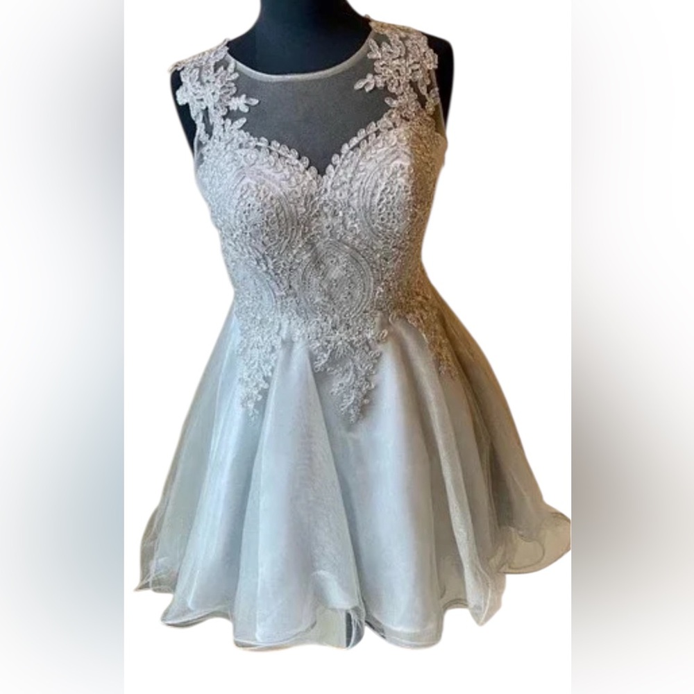 Elegant Silver Embellished Dress